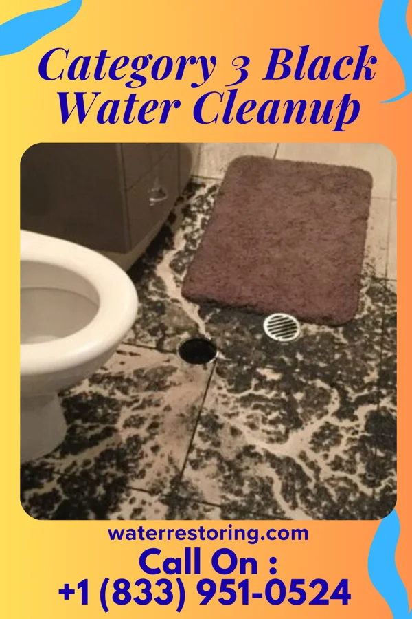 Category 3 Black Water Cleanup in Gaston, OR