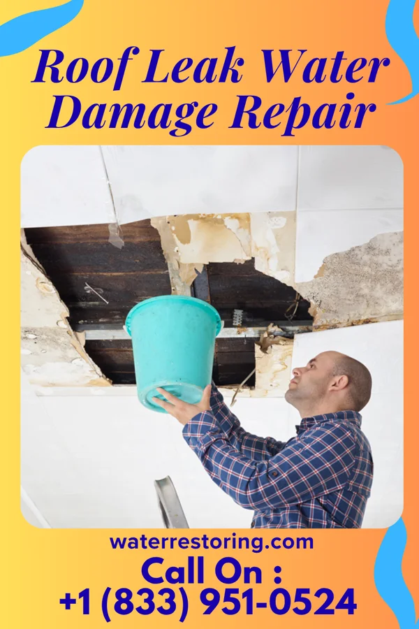Roof Leak Water Damage Repair in Gaston, OR